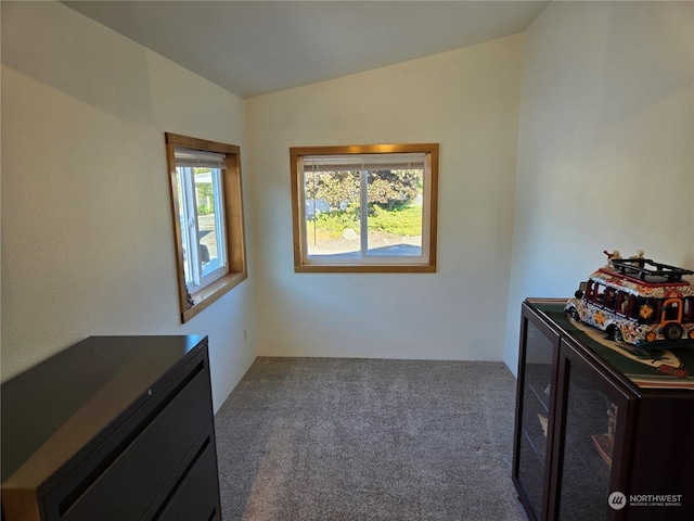 carpeted bedroom with lofted ceiling