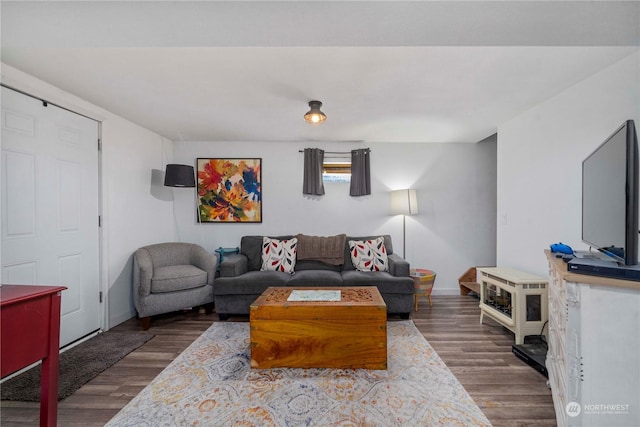 living room featuring wood-type flooring