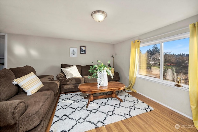 living room featuring hardwood / wood-style flooring