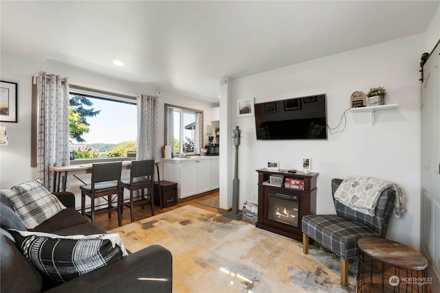 living room with light wood-type flooring