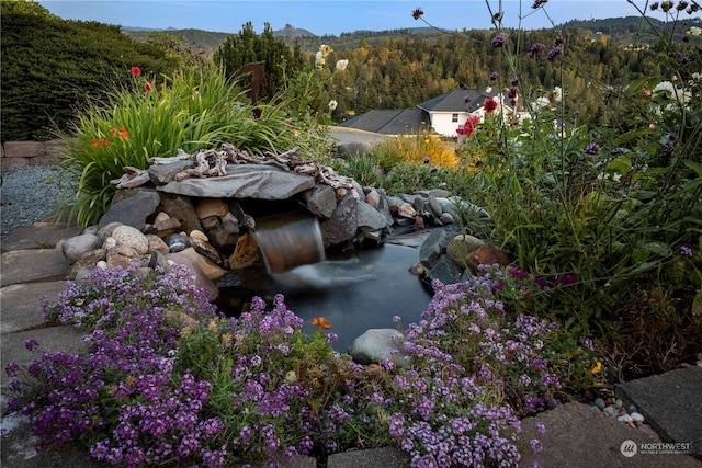 view of yard featuring a mountain view