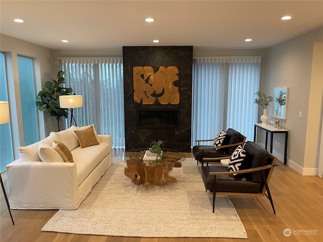 living room featuring wood-type flooring and a premium fireplace