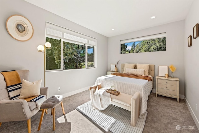 bedroom with carpet floors