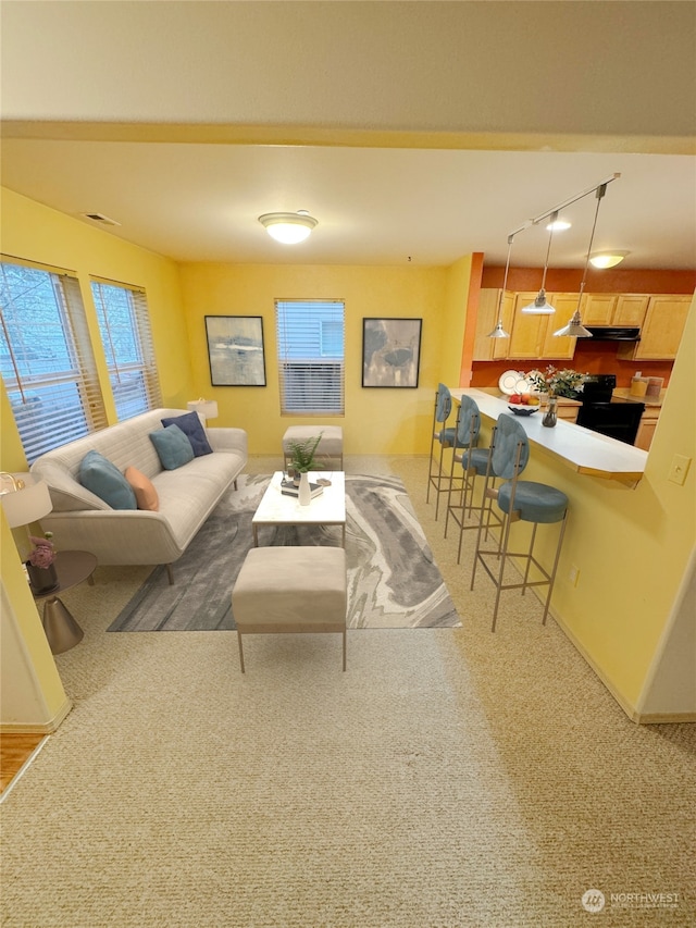 living room featuring carpet, rail lighting, and plenty of natural light