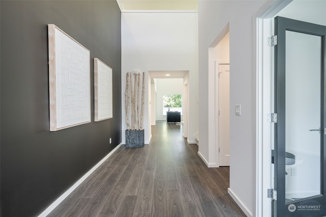 hallway with dark wood-type flooring