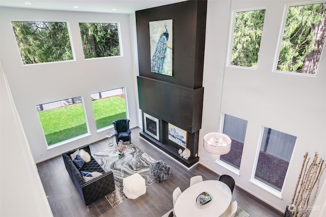 living room with dark hardwood / wood-style flooring and plenty of natural light