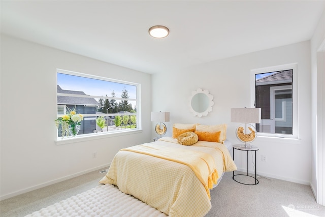 bedroom with carpet floors