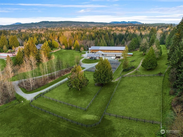 birds eye view of property featuring a mountain view and a rural view