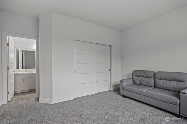 sitting room with carpet flooring and sink