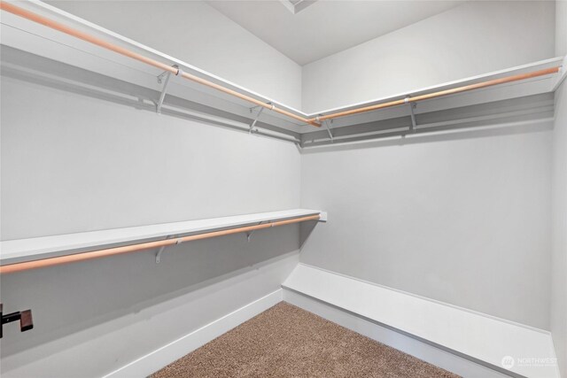 walk in closet with carpet