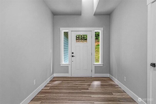 entrance foyer with dark hardwood / wood-style flooring