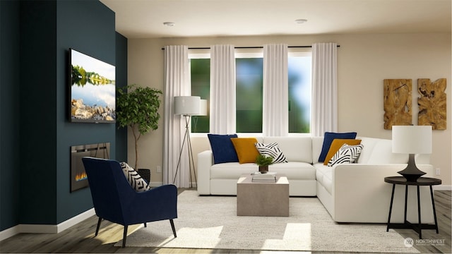 living room with wood-type flooring