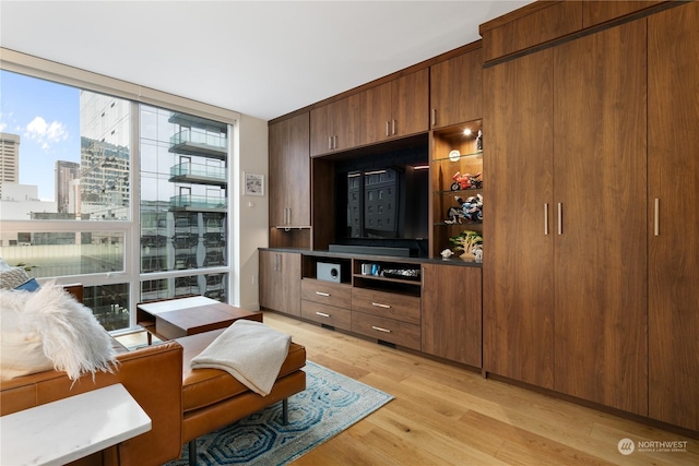 living room featuring light wood-type flooring