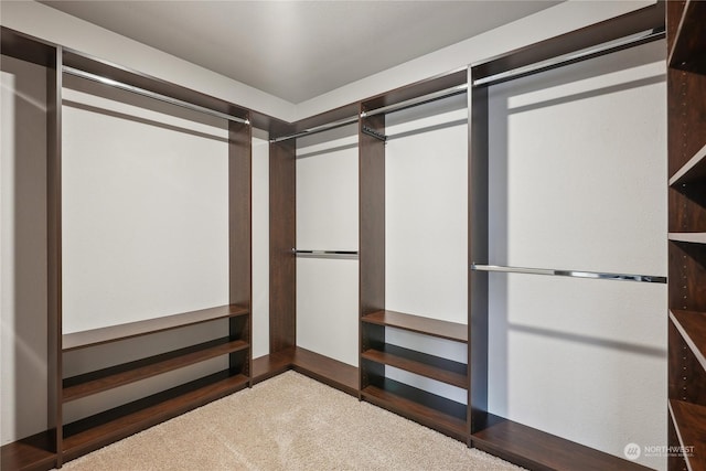 spacious closet with carpet floors