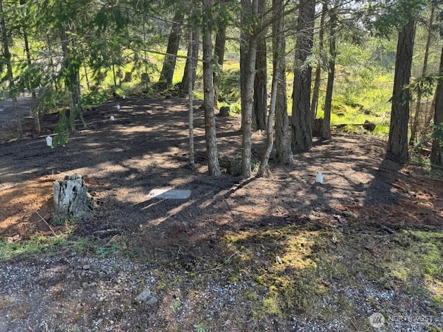 32 Rascal Rd, Friday Harbor, WA 98250