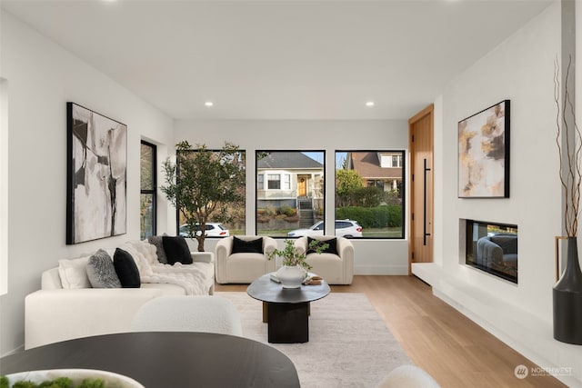 living room featuring light hardwood / wood-style floors