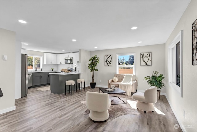 living room with light hardwood / wood-style floors