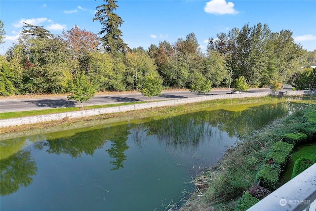 property view of water