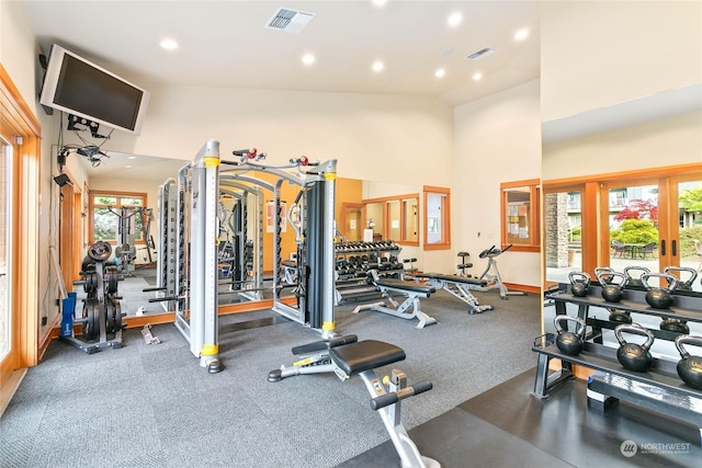 exercise room featuring high vaulted ceiling