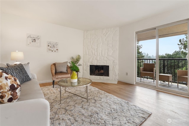 living room featuring a fireplace and wood-type flooring