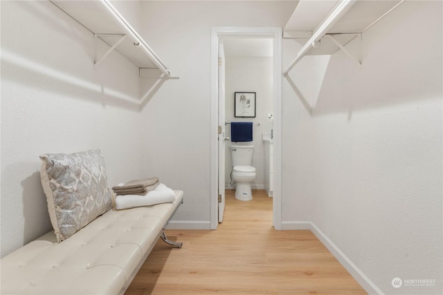 walk in closet with hardwood / wood-style floors