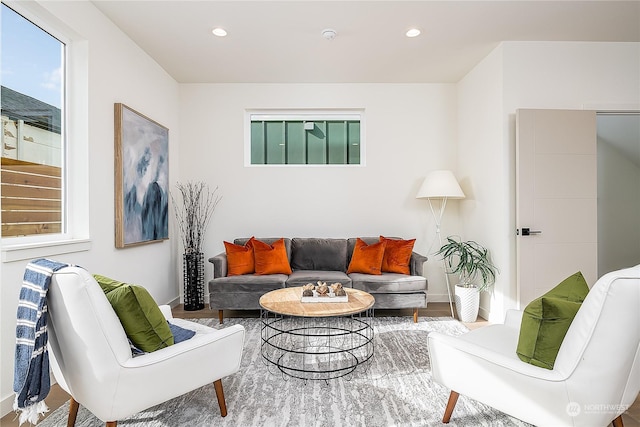 living room featuring hardwood / wood-style floors