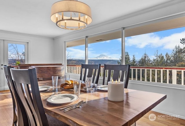 dining area with a mountain view, french doors, a healthy amount of sunlight, and ornamental molding