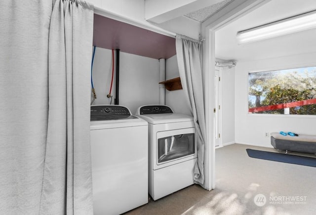 laundry area featuring washing machine and dryer and carpet