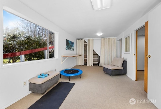 living area with light colored carpet