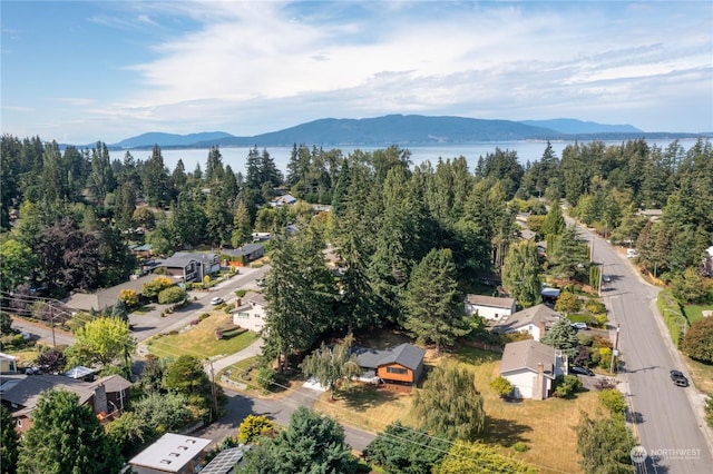 drone / aerial view featuring a mountain view