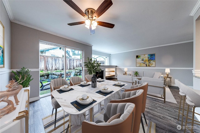 dining space featuring crown molding, ceiling fan, and dark wood-type flooring