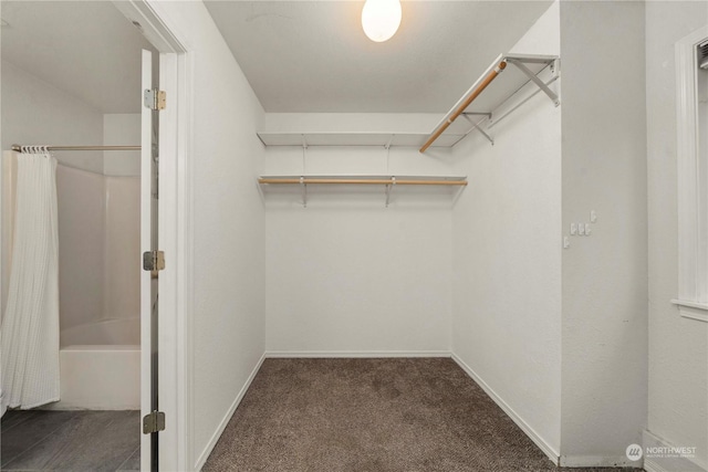 walk in closet featuring carpet