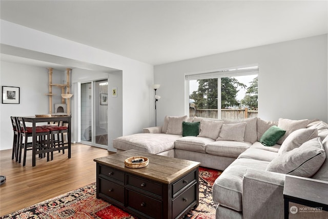 living room featuring light wood-type flooring