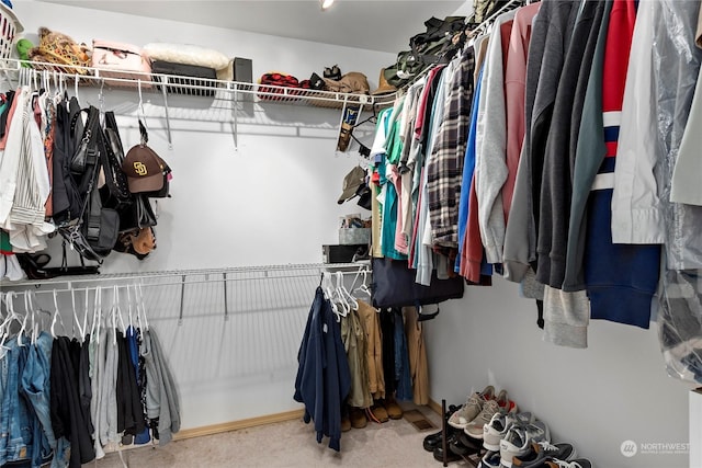 spacious closet with carpet floors