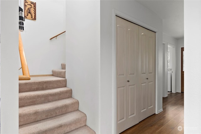 stairway with wood-type flooring