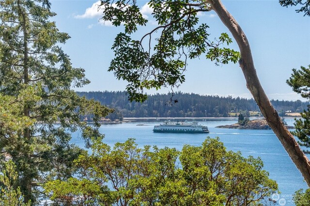 0 Liberty, Orcas Island, WA 98280 - photo 6