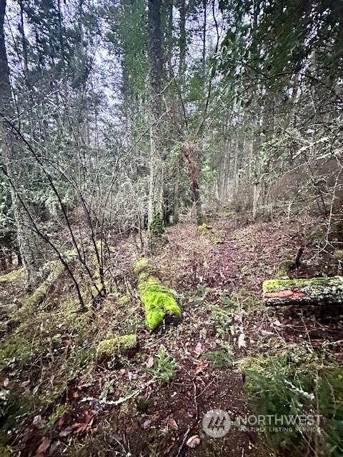 0 Liberty, Orcas Island, WA 98280 - photo 8