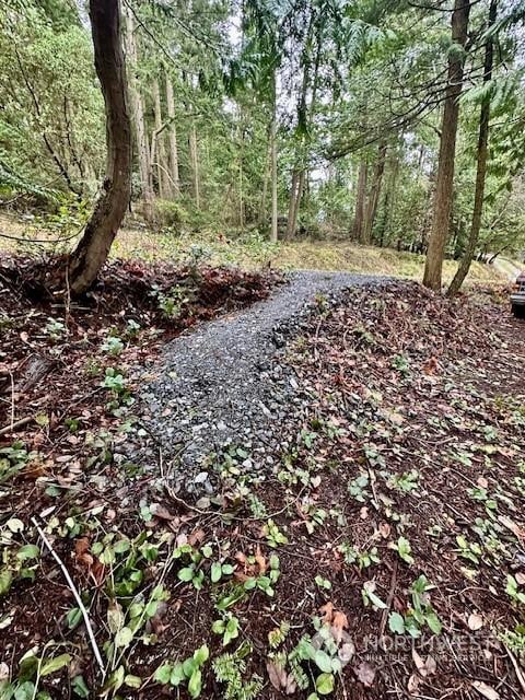 0 Liberty, Orcas Island, WA 98280 - photo 16