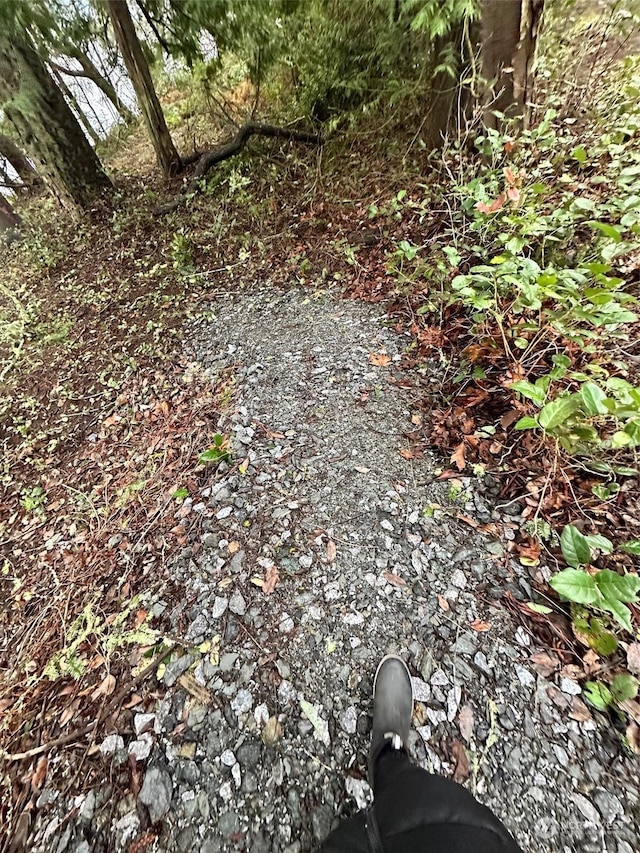 0 Liberty, Orcas Island, WA 98280 - photo 17