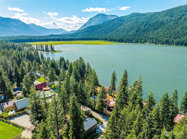 birds eye view of property featuring a water and mountain view