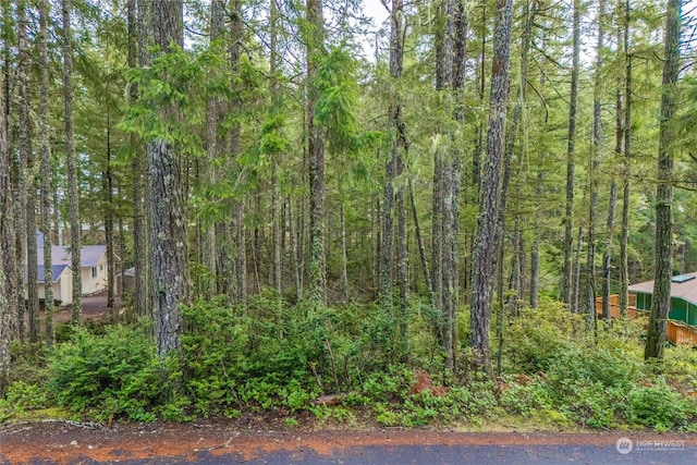 651 E Vine Maple Ln, Union WA, 98592 land for sale