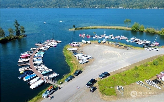 aerial view with a water view