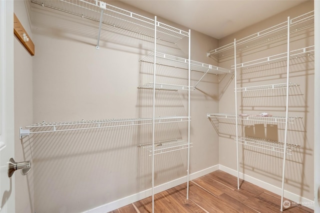 spacious closet featuring wood-type flooring