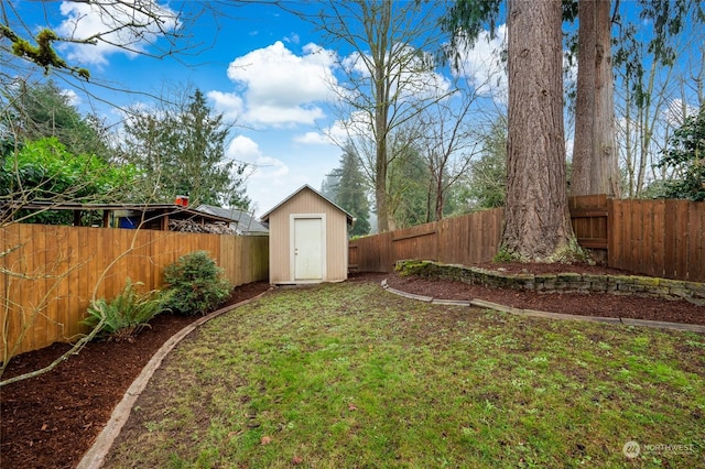 view of yard with a shed