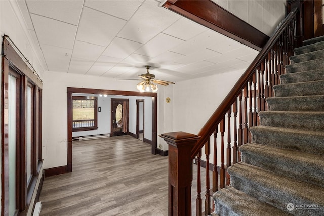 stairs featuring ceiling fan and hardwood / wood-style flooring