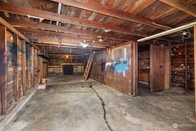 basement with wood walls