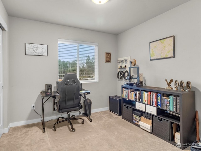 home office with light colored carpet