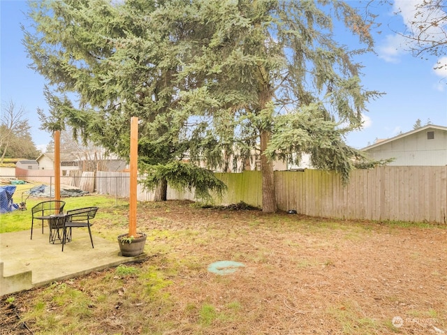 view of yard featuring a patio area