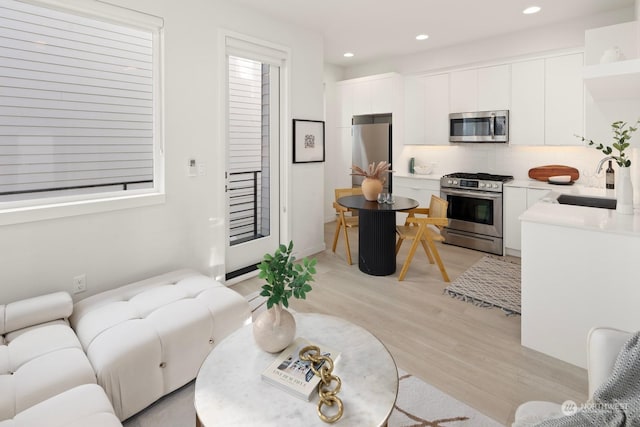 living room featuring light hardwood / wood-style floors and sink