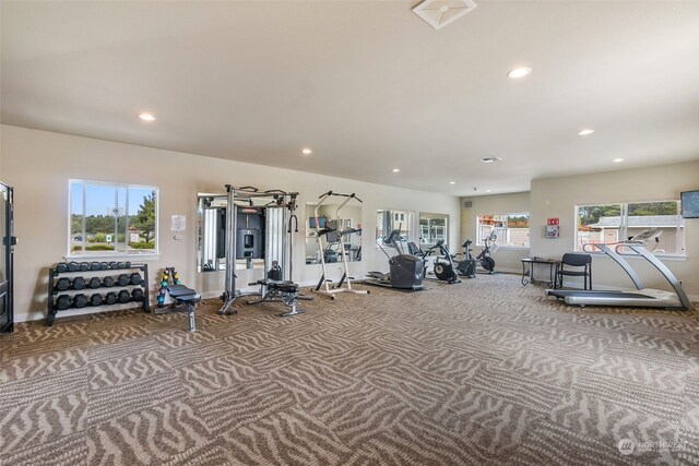 exercise room featuring carpet floors